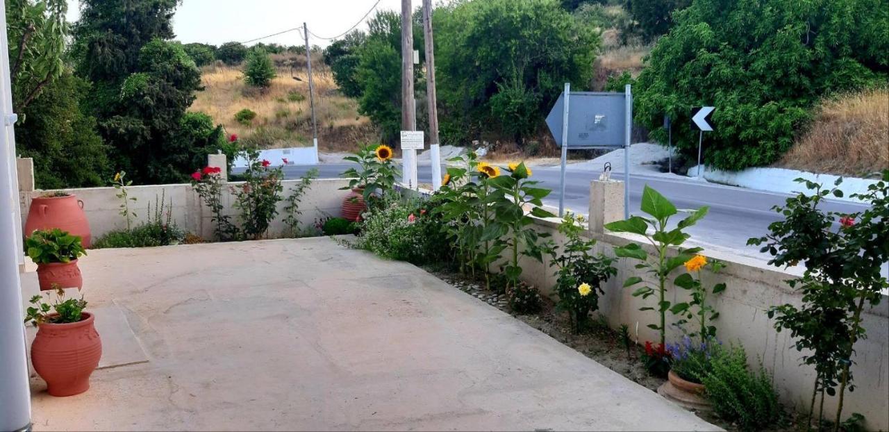 Green View Apartment Agios Petros  ภายนอก รูปภาพ